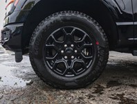2026 Ford F-150 XLT | 4X4 | HYBRID | 302A | BLK PK | FX4 | BED UTL