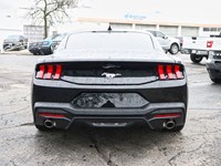 2026 Ford Mustang EcoBoost | 2.3L | 100A | 10-SPD AUTO
