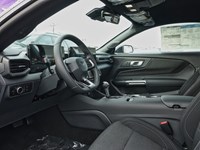 2026 Ford Mustang EcoBoost | 2.3L | 100A | AUTO | BRONZE PKG