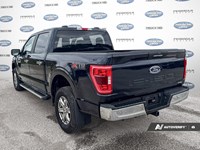 2023 Ford F-150 XLT 4WD SuperCrew 5.5' Box
