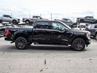 2021 Ford F-150 XLT 4WD SuperCrew 5.5' Box