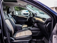 2021 Ford Escape Titanium Hybrid AWD