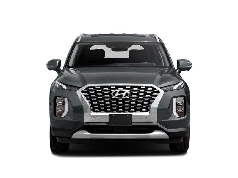 2021 Hyundai Palisade Luxury 7-Passenger AWD Exterior Shot 5