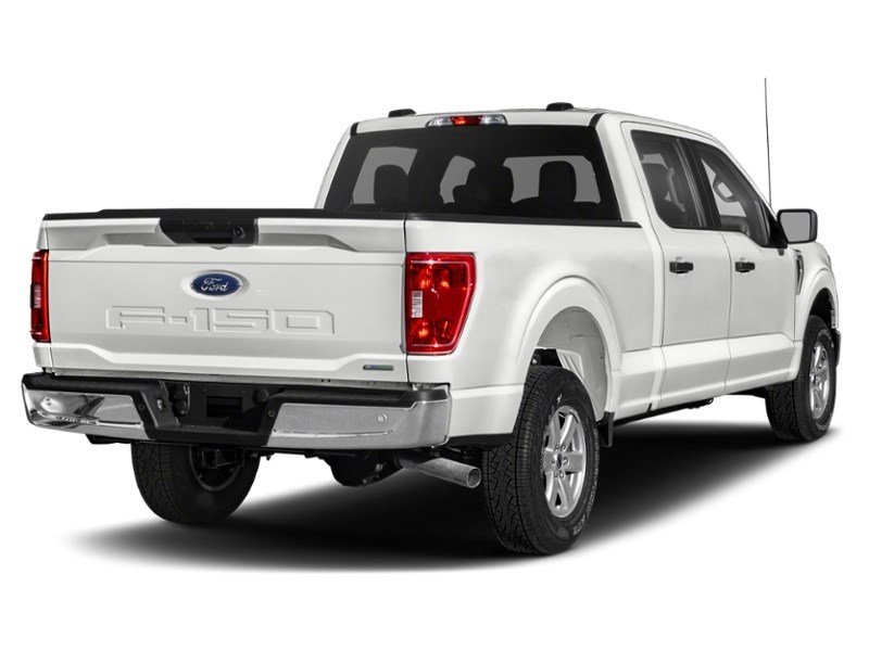 2022 Ford F-150 XLT 2WD SuperCrew 5.5' Box Exterior Shot 2