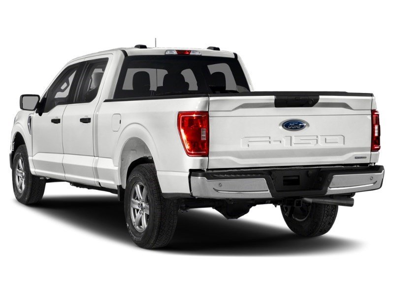 2022 Ford F-150 XLT 2WD SuperCrew 5.5' Box Exterior Shot 9