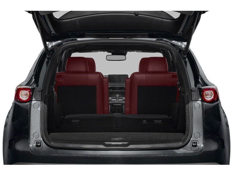 2022 Mazda CX-9 Kuro Edition AWD Exterior Shot 4