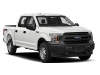 2019 Ford F-150 XL 4WD SuperCrew 5.5' Box Exterior Shot 9