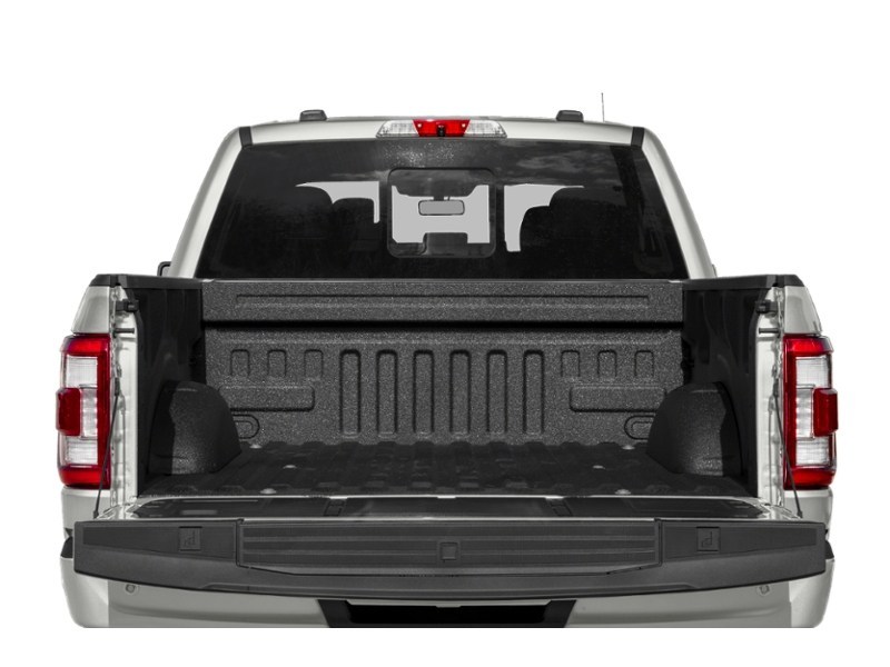 2023 Ford F-150 Platinum 4WD SuperCrew 5.5' Box Exterior Shot 4