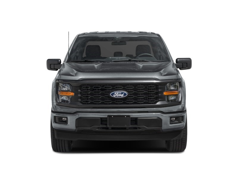2024 Ford F-150 STX 4WD SuperCrew 5.5' Box Exterior Shot 5