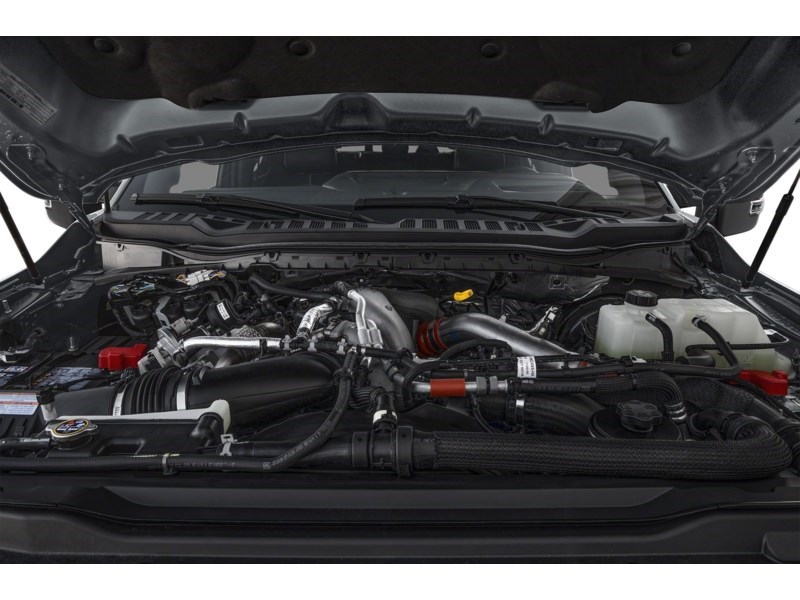 2024 Ford F-250 Platinum 4WD Crew Cab 6.75' Box Exterior Shot 3