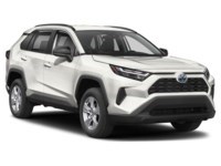 2024 Toyota RAV4 Hybrid Hybrid LE AWD Exterior Shot 8