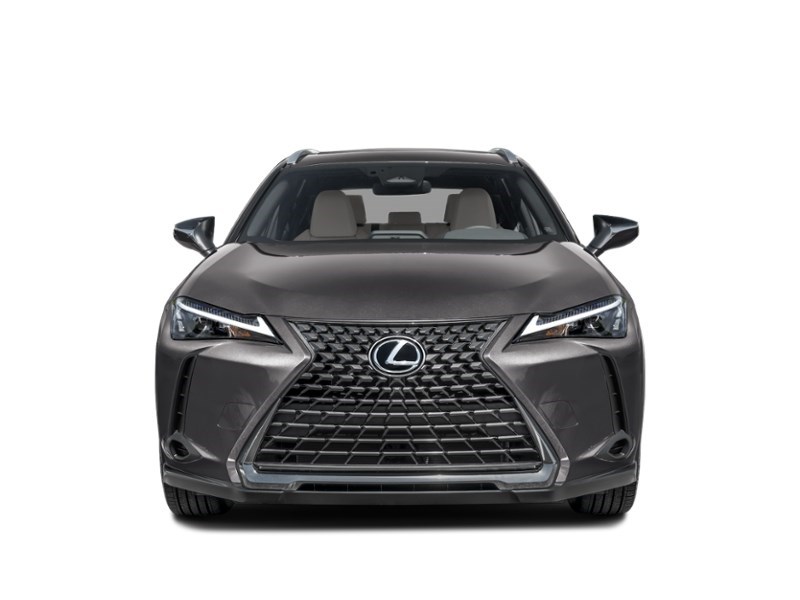 2025 Lexus UX 300h UX 300h CVT Exterior Shot 5