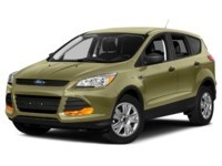 2013 Ford Escape 4WD 4dr SEL Ginger Ale Metallic  Shot 22