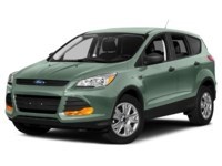 2013 Ford Escape 4WD 4dr SEL Frosted Glass Metallic  Shot 25