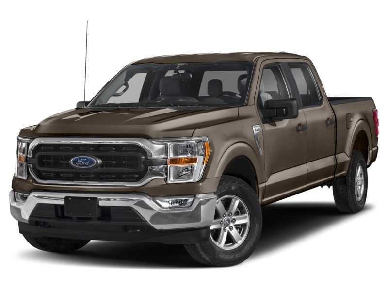 2023 Ford F-150 XLT 4WD SuperCrew 5.5' Box Stone Grey Metallic  Shot 19