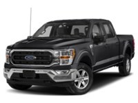 2021 Ford F-150 XLT 4WD SuperCrew 5.5' Box Agate Black Metallic  Shot 1