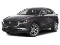 2024 Mazda CX-30 GS Machine Grey Metallic  Shot 25