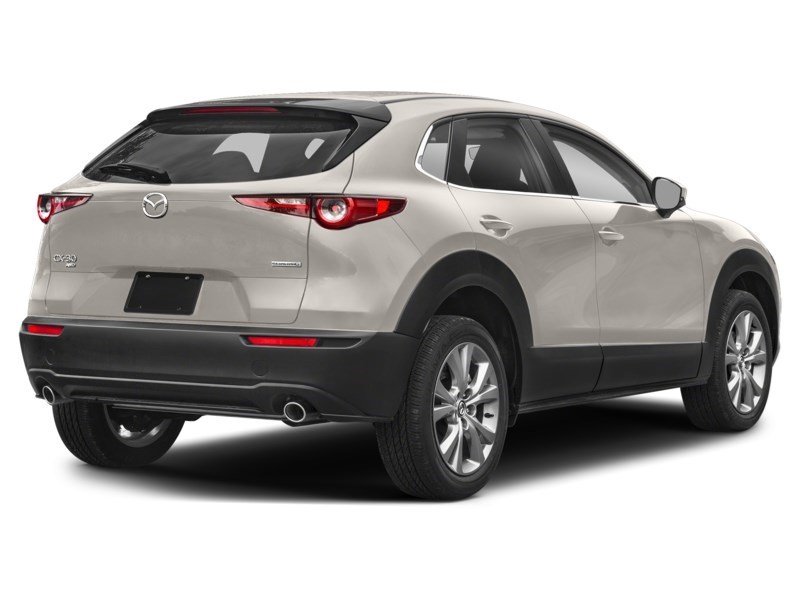 2024 Mazda CX-30 GS Platinum Quartz Metallic  Shot 28