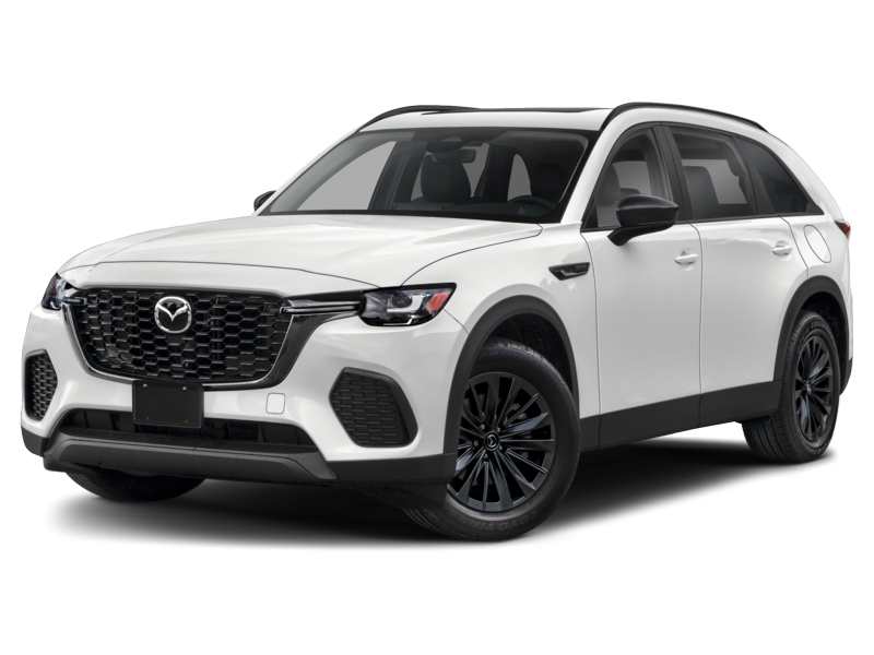 GS-L SC