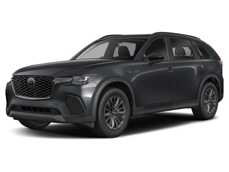 GS-L