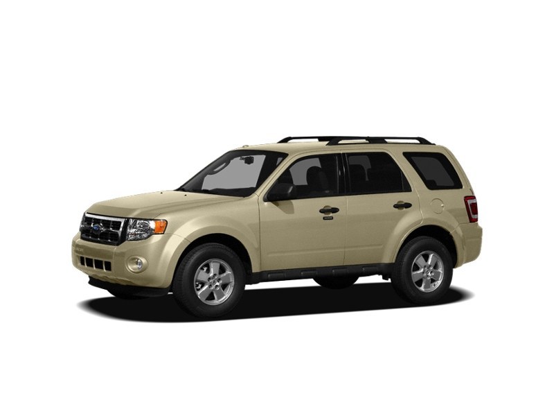 2010 Ford Escape FWD 4dr V6 Auto XLT Gold Leaf Metallic  Shot 6