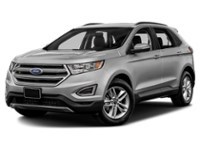 2015 Ford Edge SEL Ingot Silver Metallic  Shot 1
