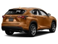 2016 Lexus NX 200t AWD 4dr Autumn Shimmer  Shot 20