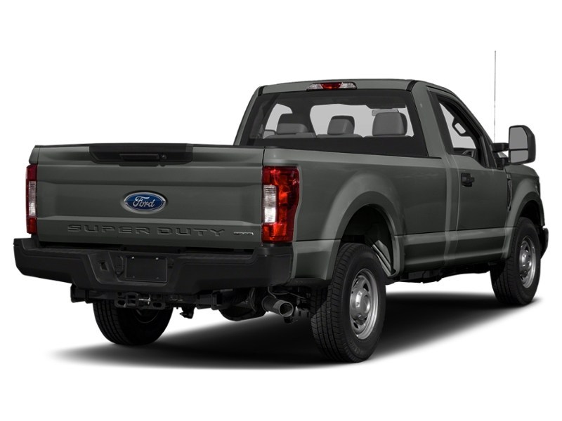 2019 Ford Super Duty F-250 SRW XL 4WD Reg Cab 8' Box Colour Shot 2