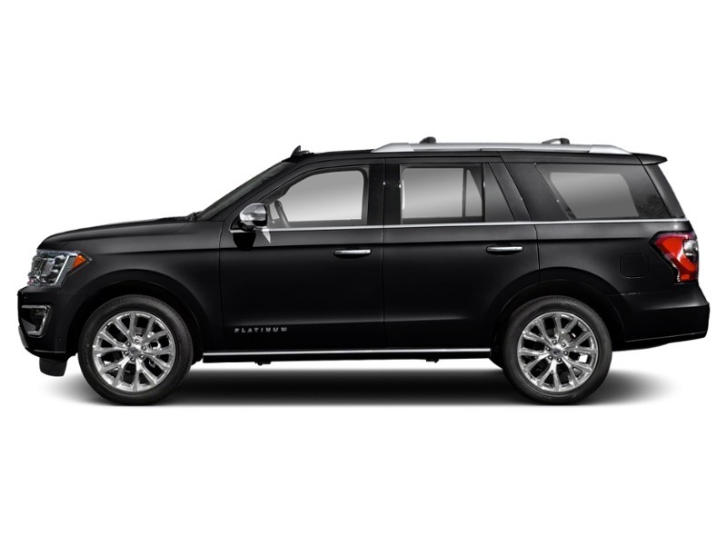 2020 Ford Expedition Platinum 4x4 Agate Black  Shot 36