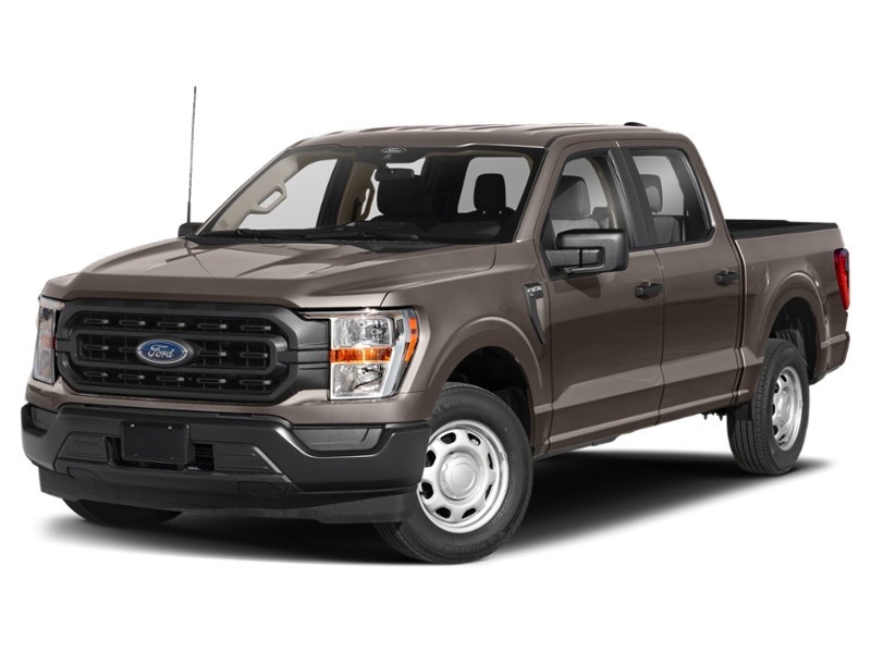2022 Ford F-150 XLT | 4X4 | 3.5L |302A | 157 | 360 | FX4 | 20s Stone Grey Metallic  Shot 1