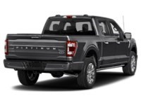 2023 Ford F-150 Platinum 4WD SuperCrew 5.5' Box Agate Black Metallic  Shot 6