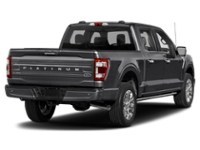 2023 Ford F-150 Platinum 4WD SuperCrew 5.5' Box Agate Black Metallic  Shot 6