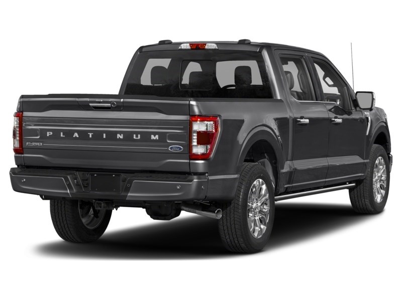 2023 Ford F-150 Platinum 4WD SuperCrew 5.5' Box Agate Black Metallic  Shot 6