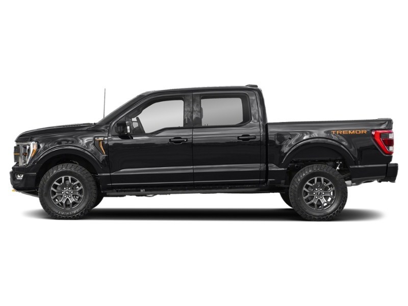 2022 Ford F-150 Tremor | 4X4 | 3.5L | 402A | ROOF | NAV | 360 Agate Black Metallic  Shot 3