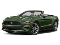 2022 Ford Mustang EcoBoost Convertible Eruption Green Metallic  Shot 28