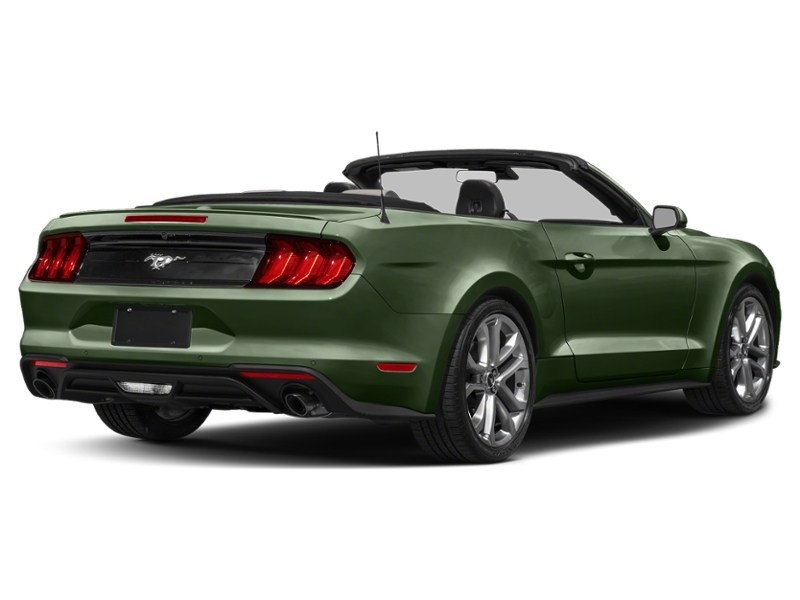 2022 Ford Mustang EcoBoost Convertible Eruption Green Metallic  Shot 30