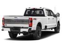 2024 Ford Super Duty F-350 DRW Platinum 4WD Crew Cab 8' Box Star White Metallic Tri-Coat  Shot 6