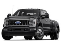 2024 Ford Super Duty F-450 DRW Platinum 4WD Crew Cab 8' Box Agate Black Metallic  Shot 2