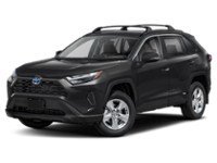 2023 Toyota RAV4 Hybrid Hybrid XLE AWD Colour Shot 1