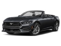 2026 Ford Mustang EcoBoost Convertible Shadow Black  Shot 13