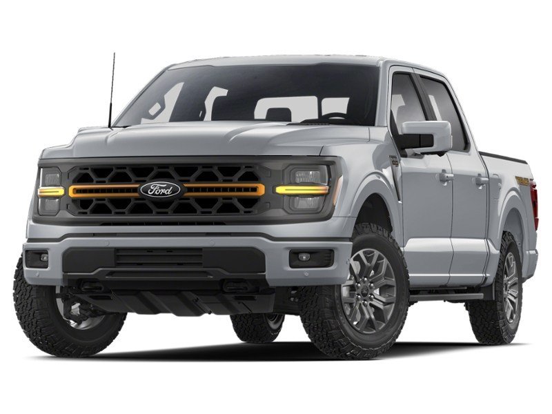 2025 Ford F-150 Tremor 4WD SuperCrew 5.5' Box Iconic Silver Metallic  Shot 3
