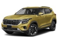 2024 Kia Seltos SX AWD w/Black Interior Valais Green  Shot 10