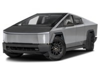 2025 Tesla Cybertruck AWD Colour Shot 1