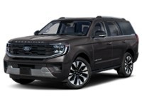 2027 Ford Expedition Platinum 4x4 Dark Matter Grey Metallic  Shot 1