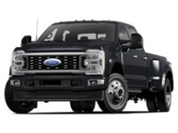 2025 Ford Super Duty F-450 DRW Platinum 4WD Crew Cab 8' Box Agate Black Metallic  Shot 1